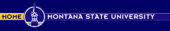 MSU Homepage