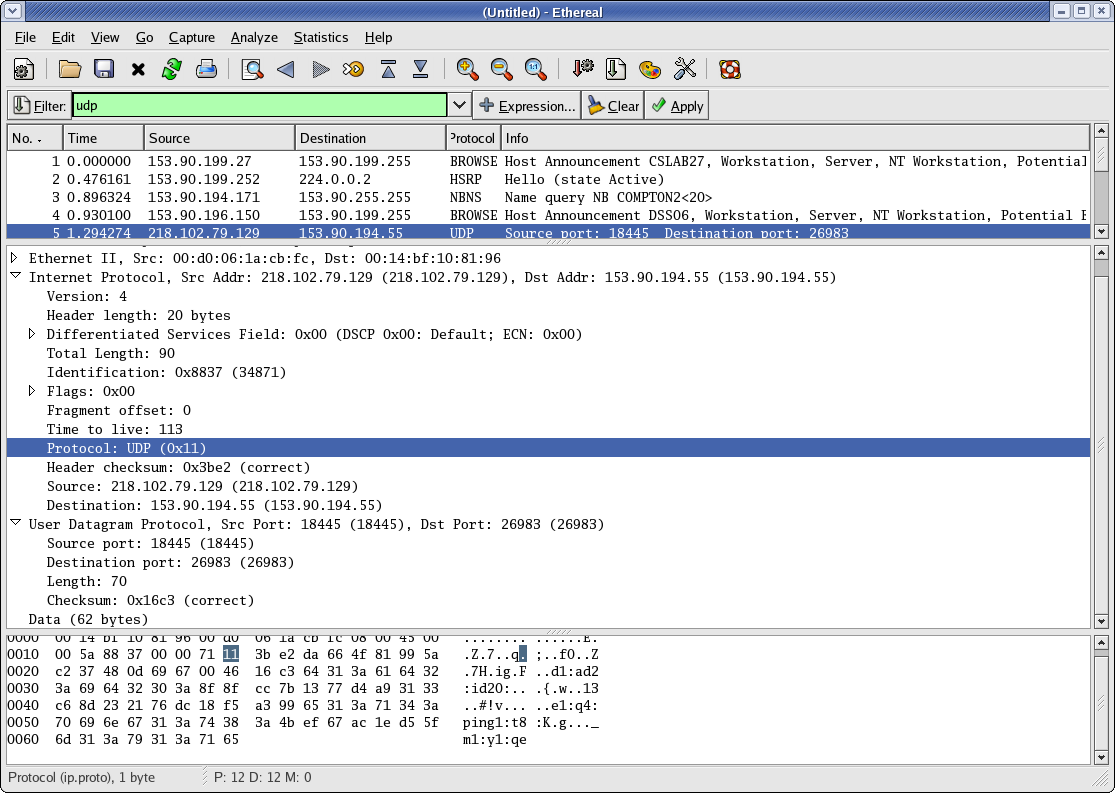Ethereal UDP packet