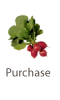 Purchase Buttons
