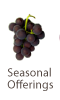 Seasonal Offerings Button