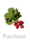 Purchase Button