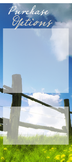 Purchase_Options_Background_Rail_Fence