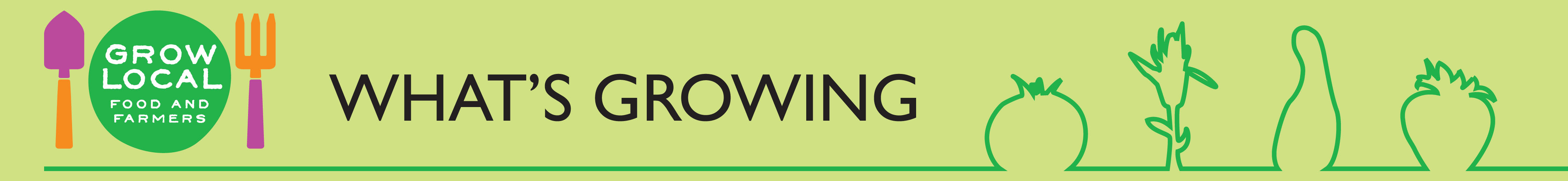 Grow Local Food and Farmers