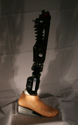 Leg - c2 foot