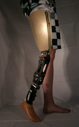 leg overview