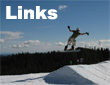 Adaptive Links