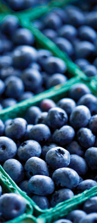 blueberries