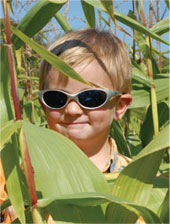 Boyd plays in the cornfield