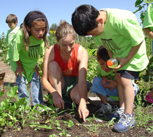 kids learning to farm