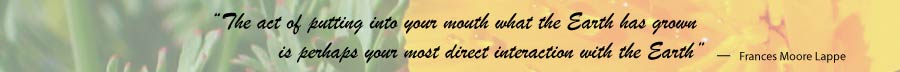 the act of putting into your mouth something the Earth has grown is perhaps your most direct interaction with the Earth Frances Moore Lappe