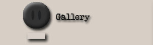 Gallery button