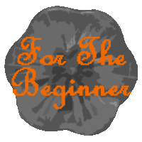 forbeginners