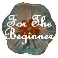 forbeginners