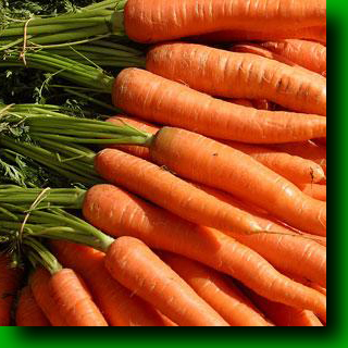 carrots