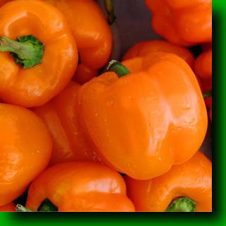 carrots
