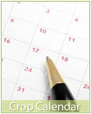 Crop Calendar