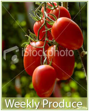Weekly Produce