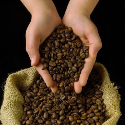 coffee beans in hand