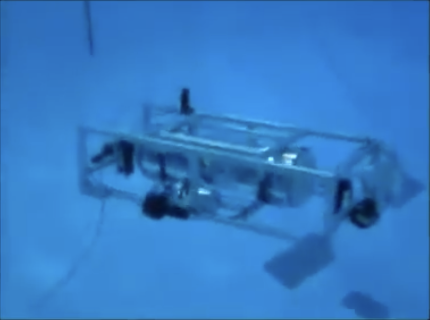 Shark Cage sub