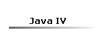 Java IV