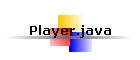 Player.java