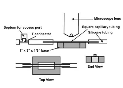 Figure 2. Diagram of a flow cell