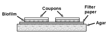 Figure 1. Cross sectional diagram of the construction of a Static Glass Coupon Reactor
