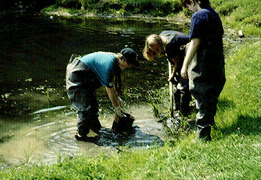 Figure 2. Students collecting mud from a lake in  Prince Gallitzen State Park, Cambria Co. PA.  