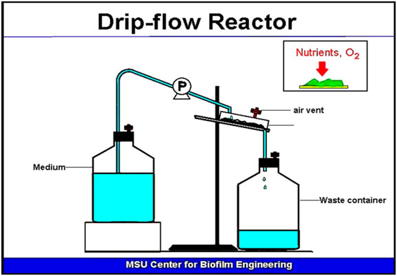 Drip flow Reactor