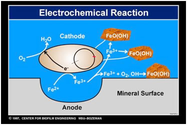 Electrochemical Reaction
