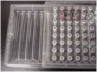 MBEC Assay System