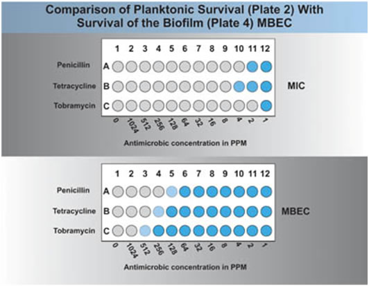 Planktonic and Biofilm Sensitivity