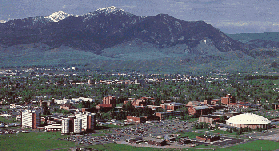 msu-view.gif (33219 bytes)